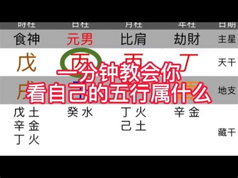 命 格 五行|免費生辰八字五行屬性查詢、算命、分析命盤喜用神、喜忌